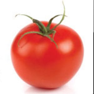 Profile picture for Smith Bites