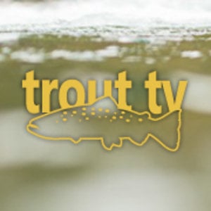 Profile picture for Trout TV