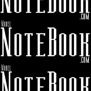 Profile picture for Model Notebook