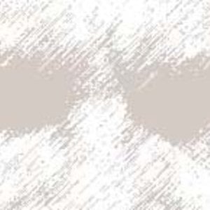 Profile picture for Frans van Bergen