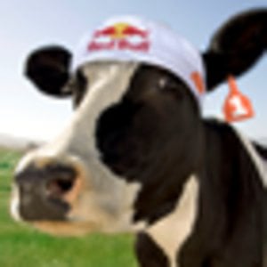 Profile picture for Mike Hinds