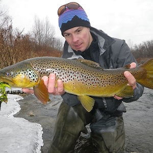 Profile picture for Richard Strolis