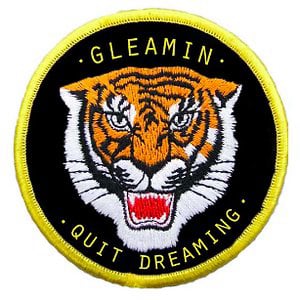 Profile picture for GLEAMIN'