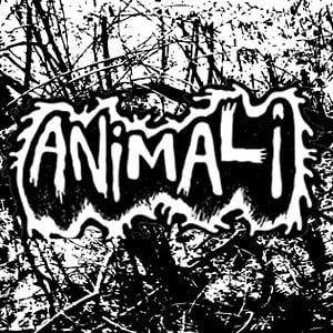 Profile picture for Animali