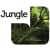 Jungle
