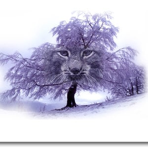 Profile picture for Daniele Gatti