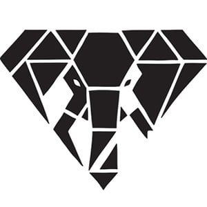 Profile picture for EL Phante