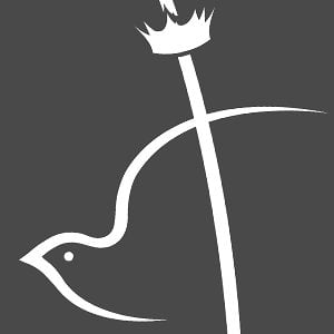 Profile picture for Iglesia Cristiana Shalom Adonai