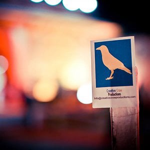 Profile picture for Creative Crow Productions