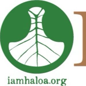 Profile picture for Haloa Nakalaukapalili