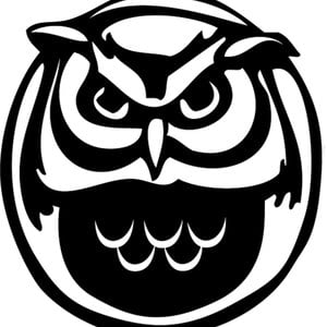 Profile picture for NightOwls Media