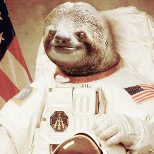 Profile picture for Nathan Smalley