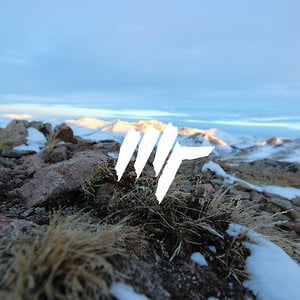 Profile picture for Max Rhulen