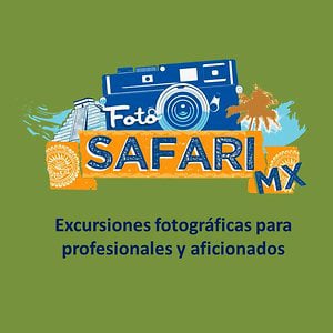Profile picture for Foto Safari Mx