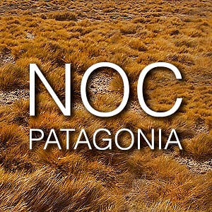 Profile picture for NOC PATAGONIA