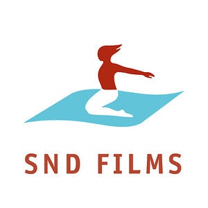 Profile picture for SND FILMS