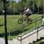 patrick taber
