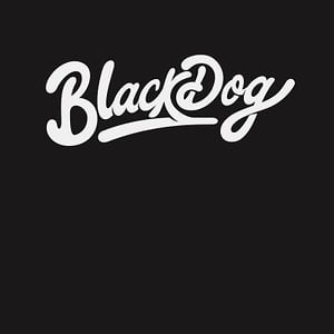 Profile picture for BlackDog