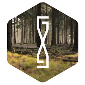 Profile picture for Sander van Zessen