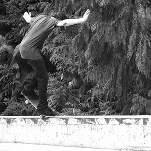 Profile picture for Tim Webb