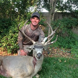 Profile picture for Travis Stone
