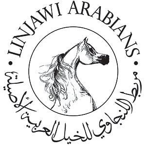 Profile picture for Linjawi Arabians