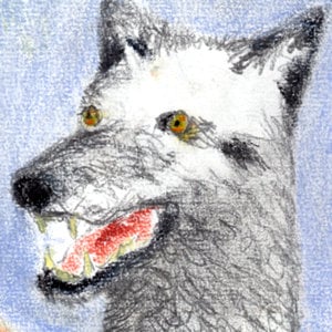 Profile picture for Rat King