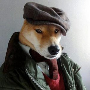 Profile picture for Christopher Egglestone