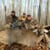 Point Blank Outdoors