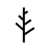 Tripe Tree