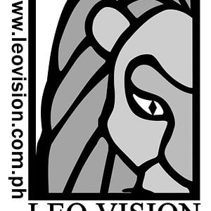 Profile picture for Leo Vision