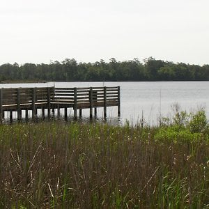 Profile picture for Sturgeon City