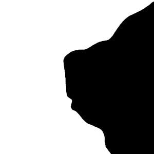 Profile picture for Beauty and The Bear