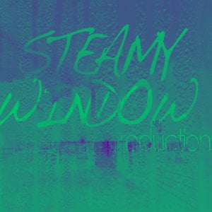 Profile picture for Steamy Window Productions