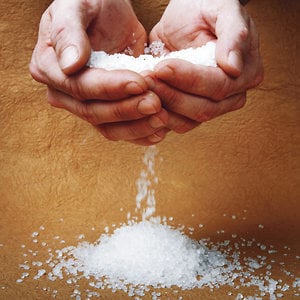 Profile picture for SALT