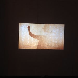 Profile picture for Dongli Huang