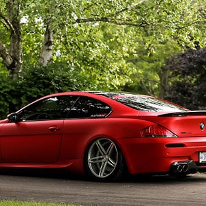 Profile picture for IMPORTFEST