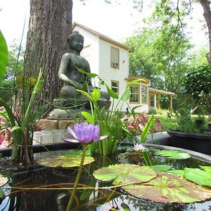 Profile picture for Maria Kannon Zen Center