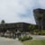 de Young Museum