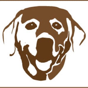 Profile picture for Lucky Dog Filmworks
