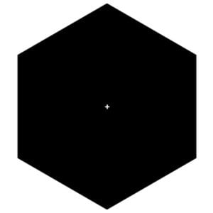 Profile picture for ruiz+company