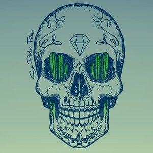 Profile picture for SAN PEDRO FILMS