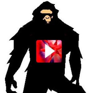 Profile picture for Sascacci