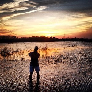 Profile picture for Max Troutman