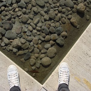 Profile picture for Clara Ungaretti