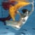 2oceans-film.com