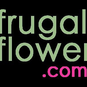 Profile picture for Frugal Flower