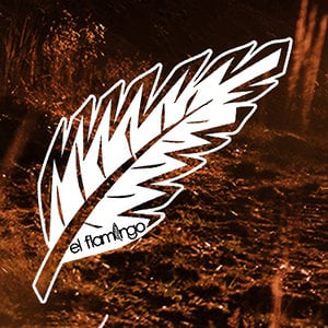 Profile picture for El Flamingo Films