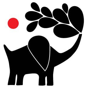 Profile picture for LIEBER VISION