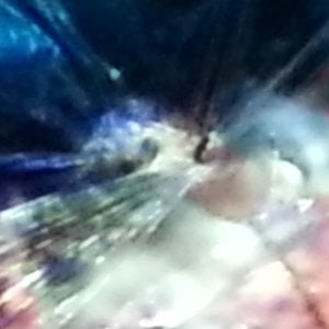 Profile picture for Annika Vestel